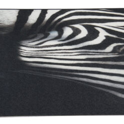 Alternative view of Tappeto Decorativo Vinile Vista BW04 Zebra – Bianco e Nero – Made in Italy