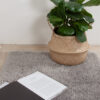 Tappeto Shaggy Bold Grigio - Morbido e Resistente