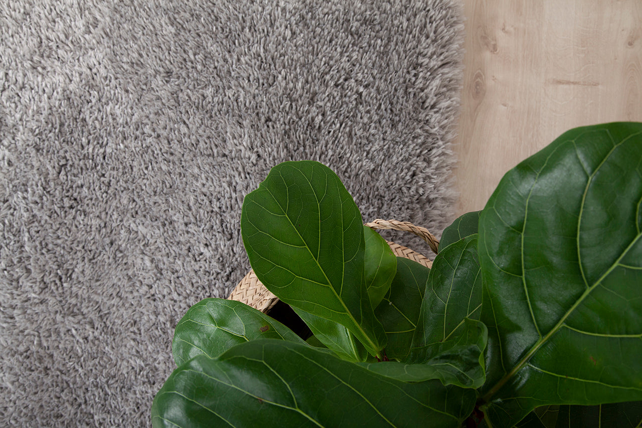 Tappeto Shaggy Bold Grigio - Morbido e Resistente - Image 5