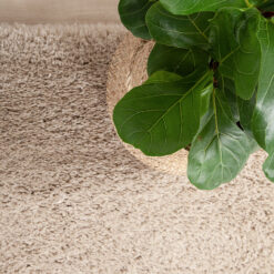 Tappeto Shaggy Bold Beige - Morbido e Resistente