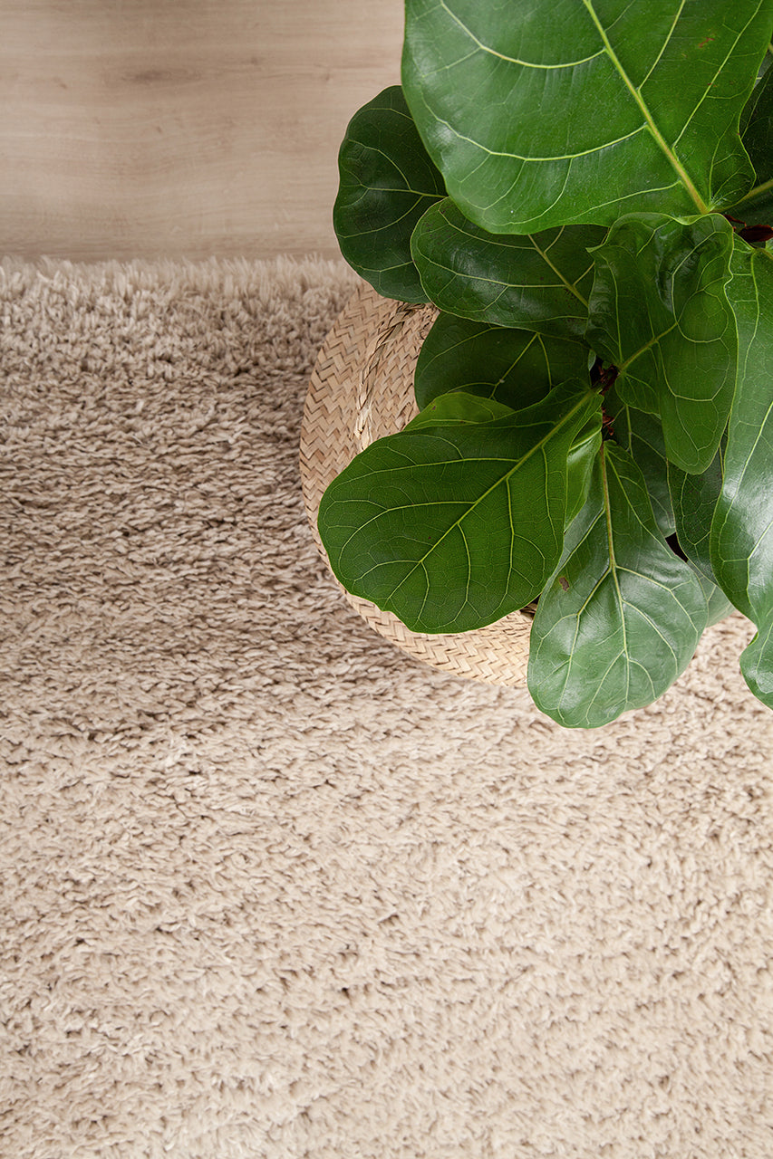 Tappeto Shaggy Bold Beige - Morbido e Resistente